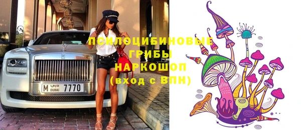 ГАЛЛЮЦИНОГЕННЫЕ ГРИБЫ Зерноград